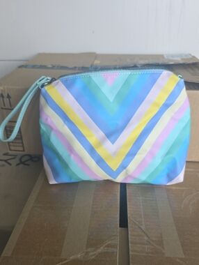 Steve Madden Pastel Chevron Wristlet Pouch